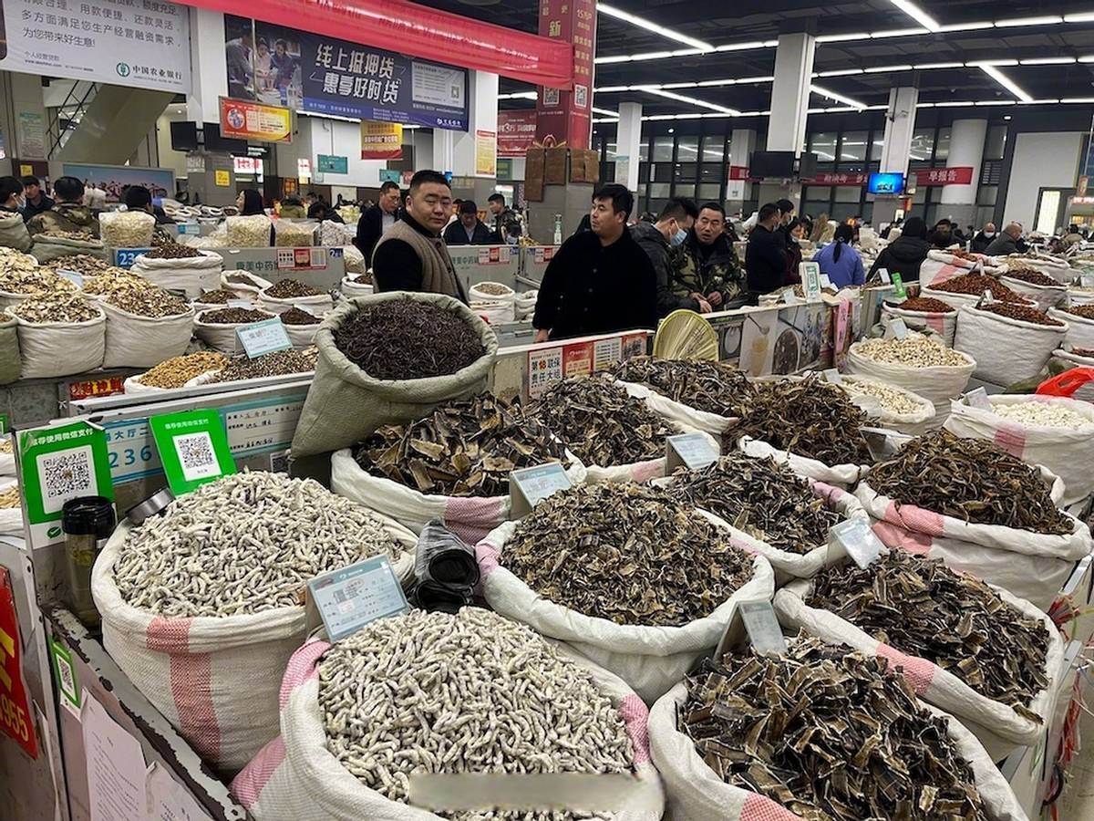资料中的食材与草本展示